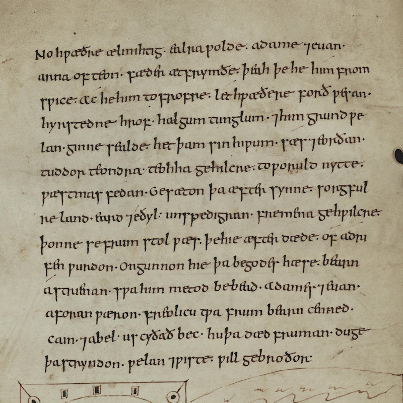 Lines from the ‘Cædmon manuscript’ of Anglo-Saxon poetry, late 10th century (Bodleian Library, MS. Junius 11, p. 46)